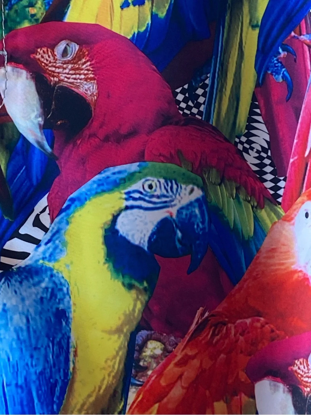 Billabong Multicolor Parrot Print Mens Board  Shorts